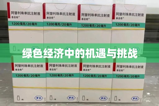 徐州绿色经济中的机遇与挑战