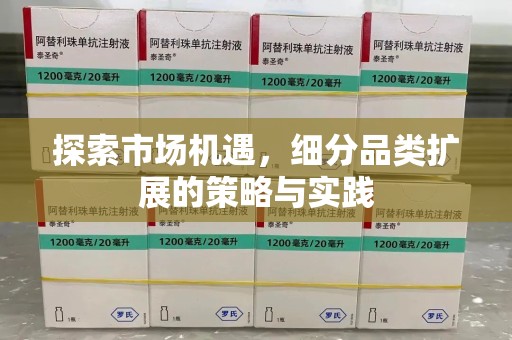 徐州探索市场机遇，细分品类扩展的策略与实践