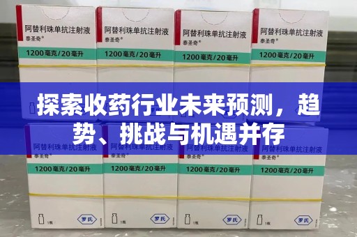 徐州探索收药行业未来预测，趋势、挑战与机遇并存