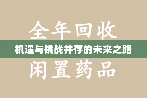 徐州机遇与挑战并存的未来之路
