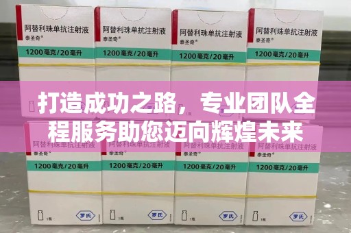 徐州打造成功之路，专业团队全程服务助您迈向辉煌未来